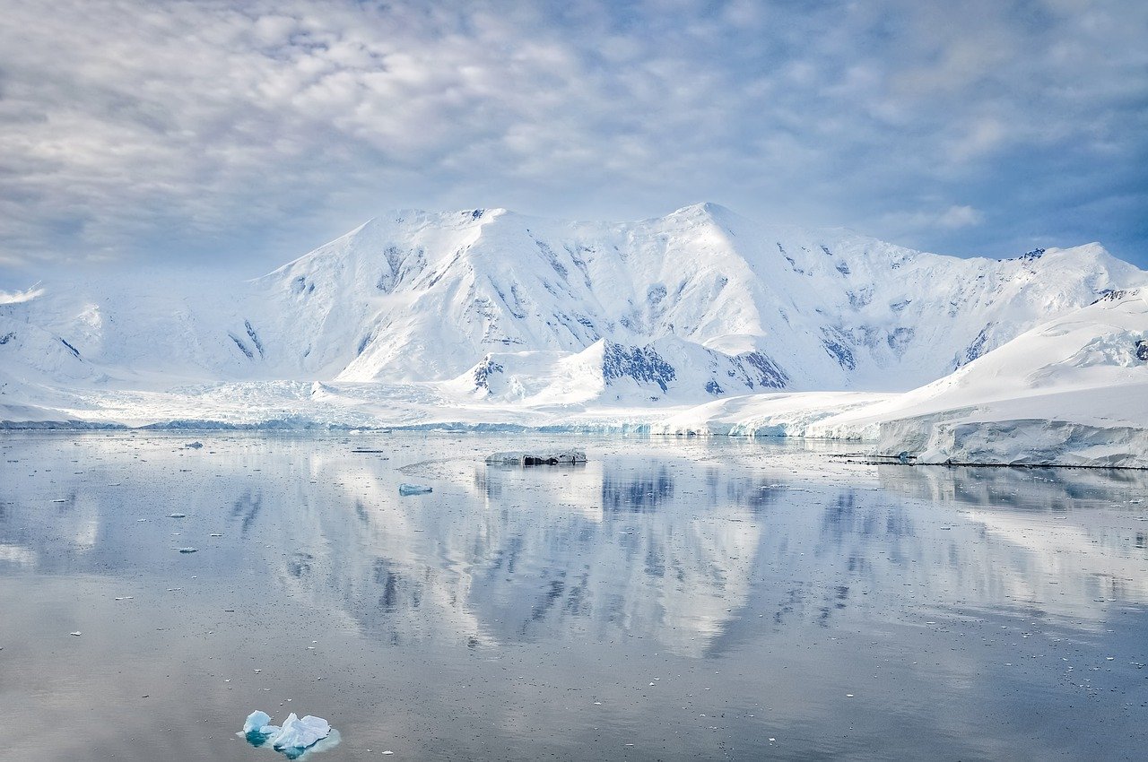 Antarctica Adventure: A Unique Culinary Journey